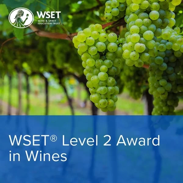 WSET Wines Level 2