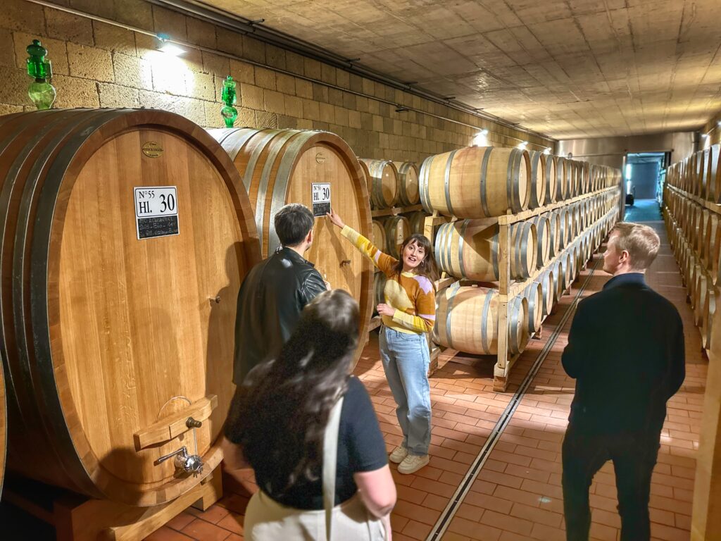 Interior of a Chianti Classico winery cellar with oak barrels and WSET guide explaining the wine aging process on Tuscany Uncorked tour.