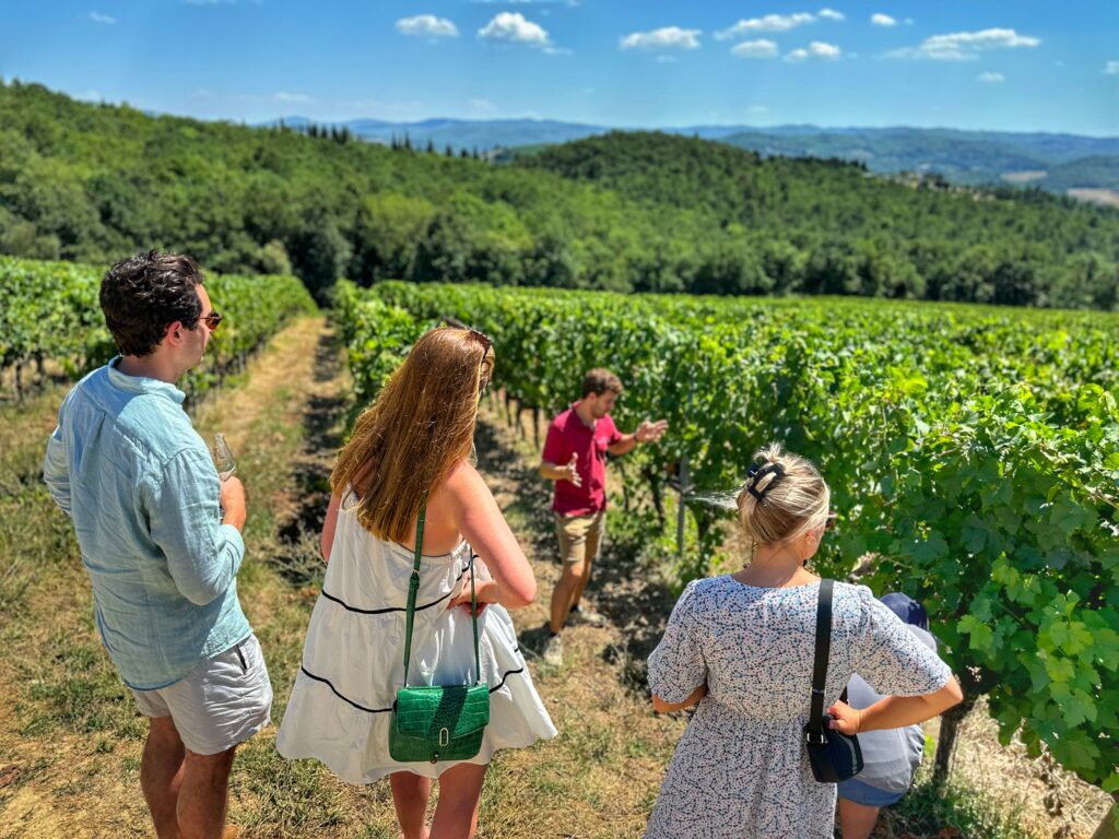 Guests on a Chianti Classico vineyard tour in Tuscany, walking between vine rows as the guide explains the Sangiovese grape cycle