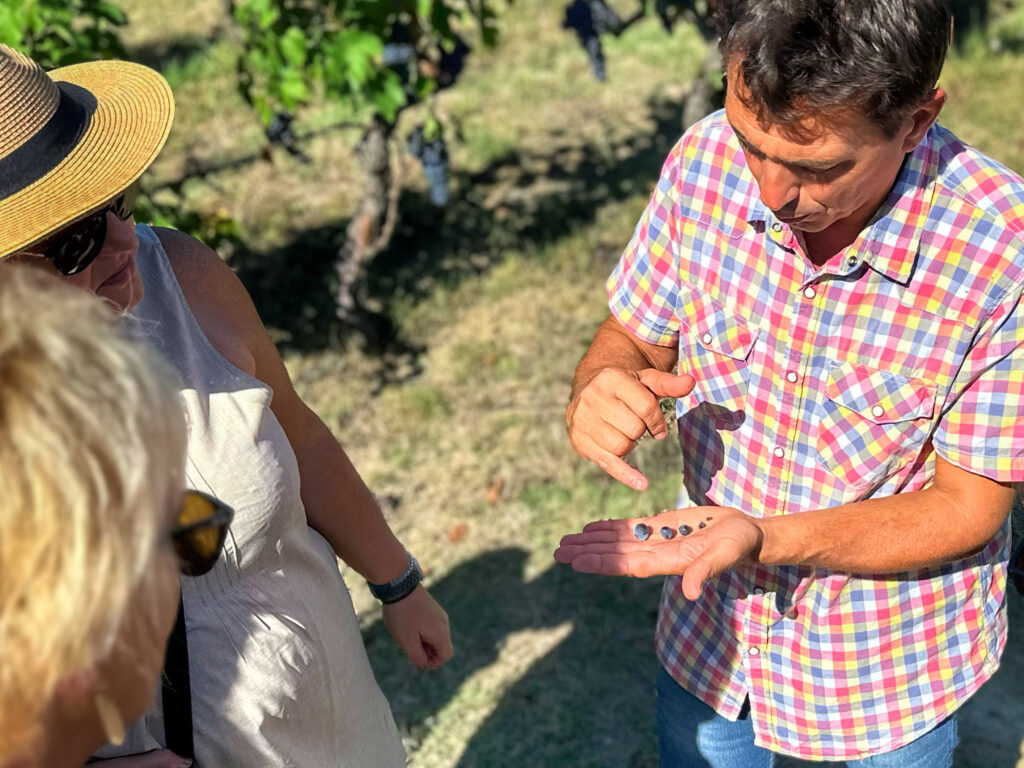 Visitors touring a biodynamic winery in southern Montalcino on a Tuscany wine tour, learning about sustainable viticulture practices