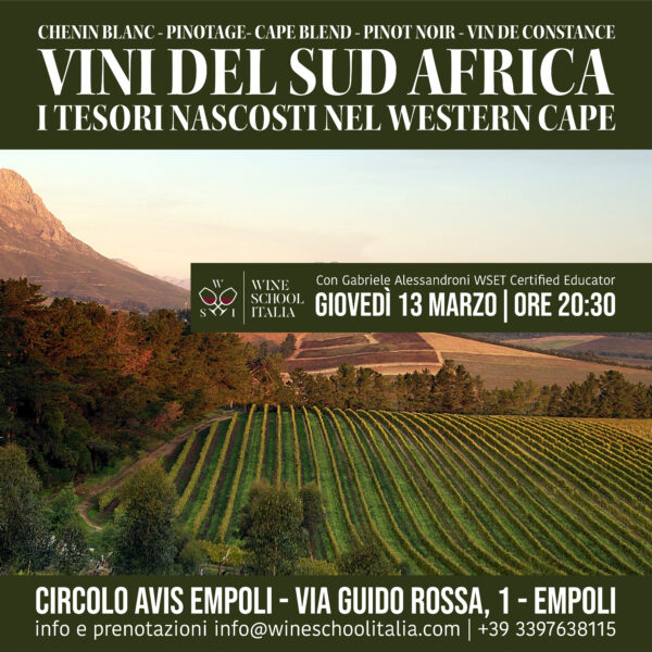 I Vini del Sud Africa | I Tesori Nascosti nel Western Cape