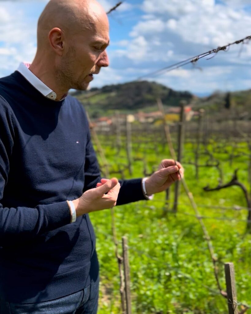 Carmignano wine tour