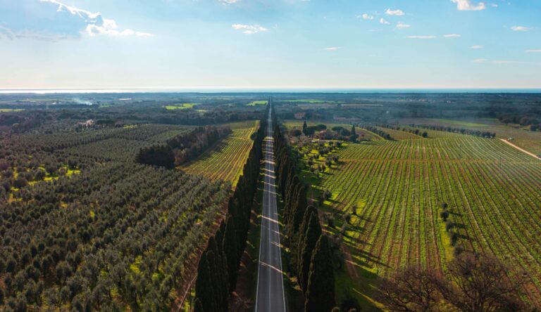 Super Tuscan: Redefining Tuscany Wine Excellence