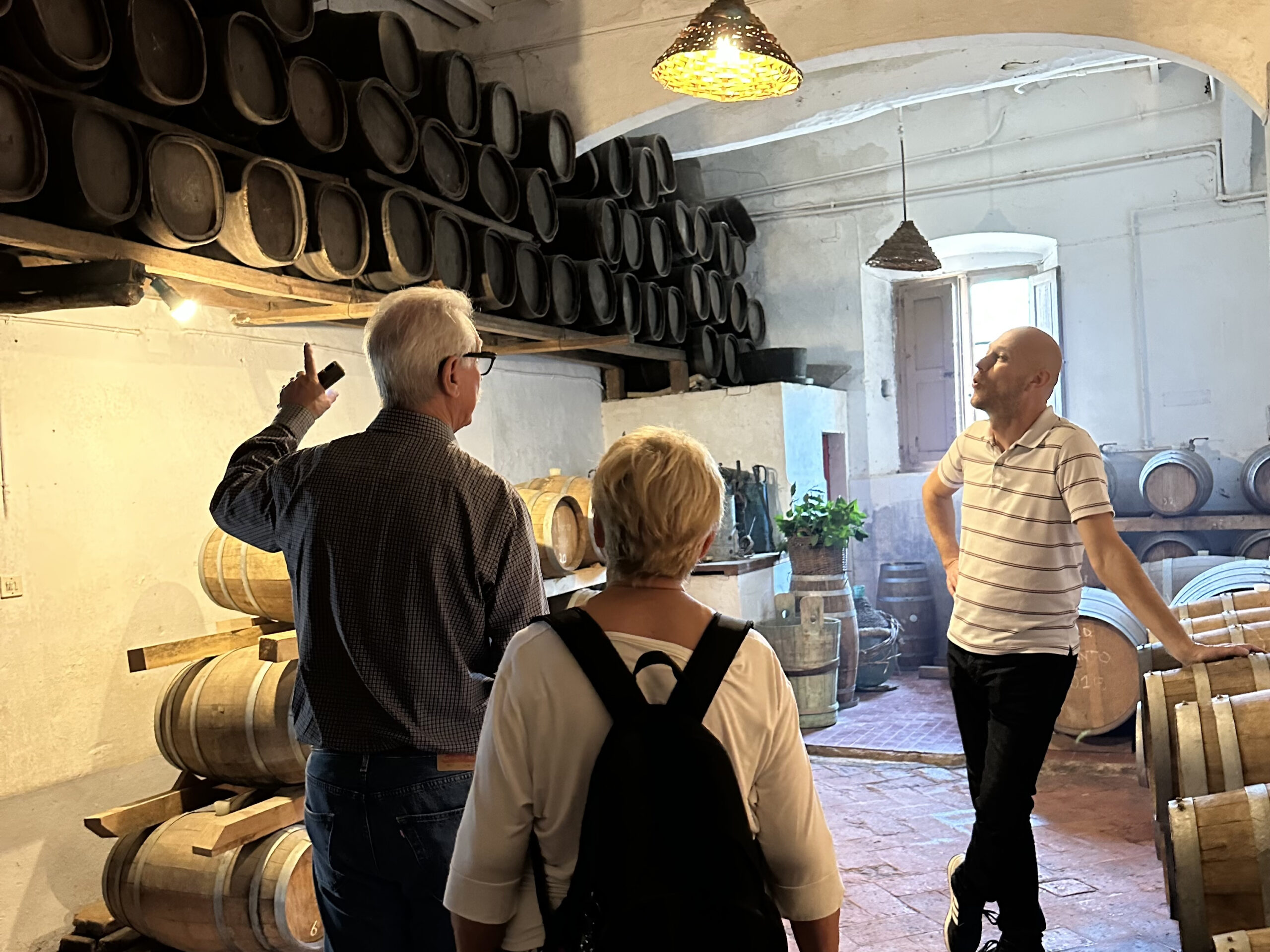 tuscany wine tours