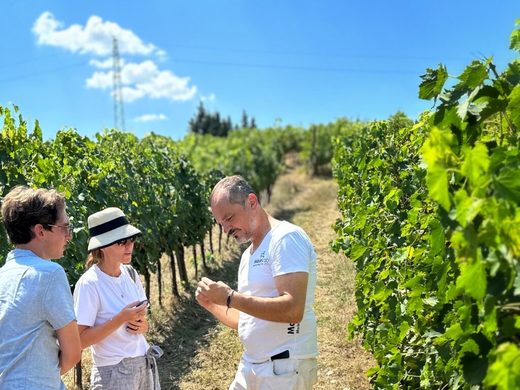 Private vineyard experience Tuscany