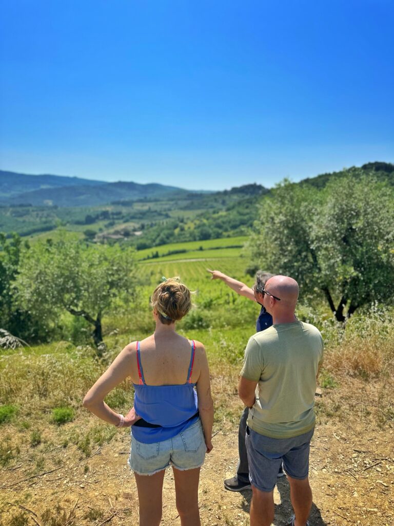 Couple walking through a hillside vineyard in June, with sweeping Tuscan valley views at golden hour.