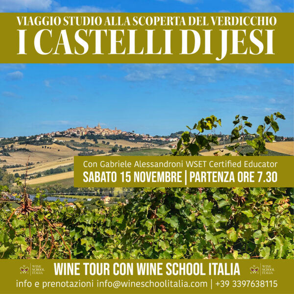 Viaggio nelle Marche alla scoperta del Verdicchio Viaggio nelle Marche alla scoperta del Verdicchio