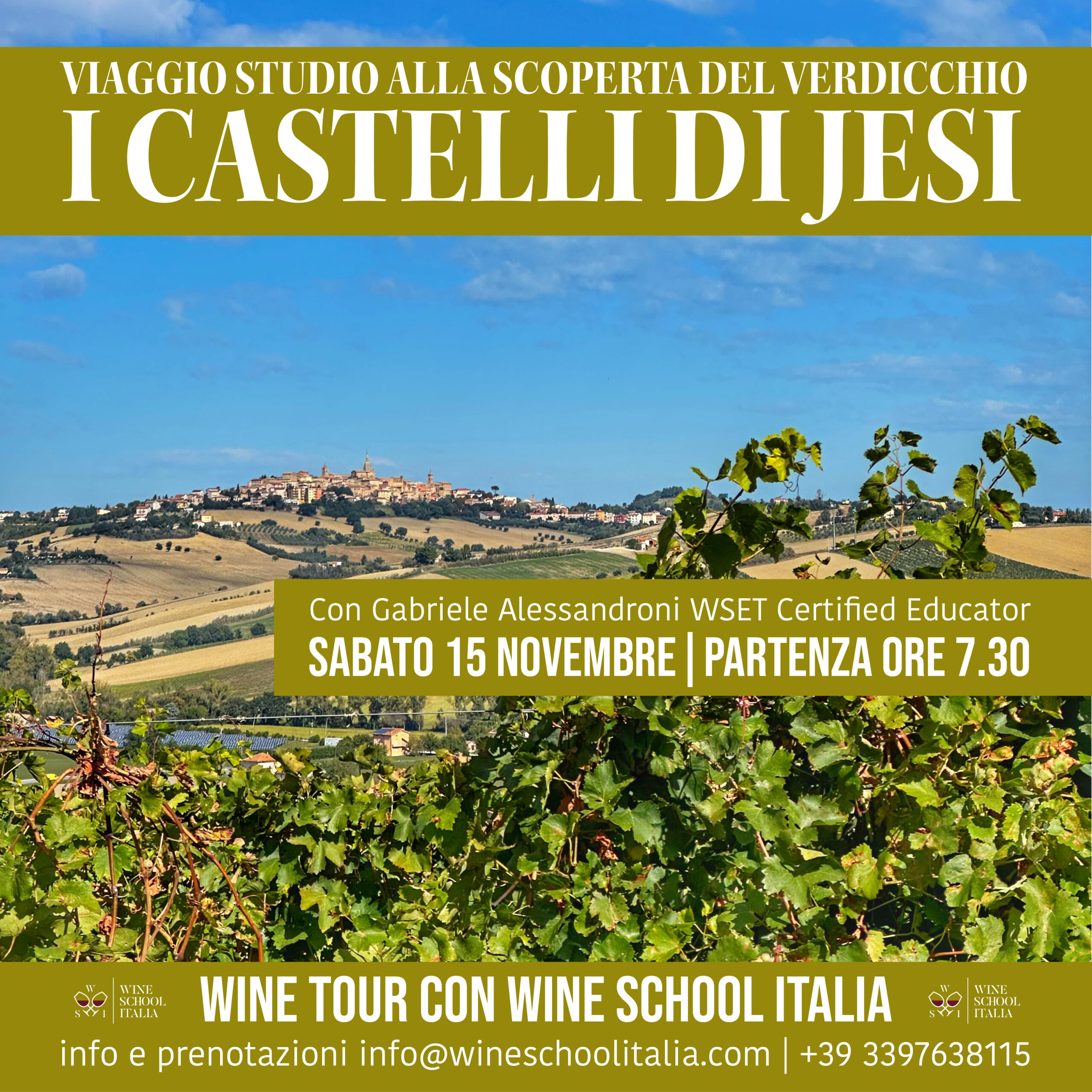 Viaggio nelle Marche alla scoperta del Verdicchio