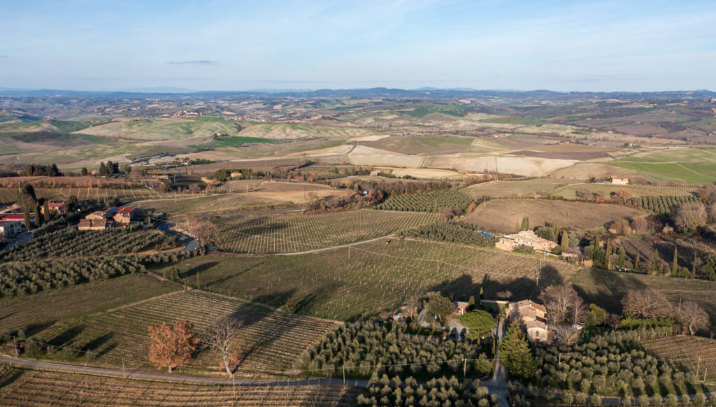 Winter view over Montalcino’s rolling hills and dormant vineyards in the Val d’Orcia, Tuscany