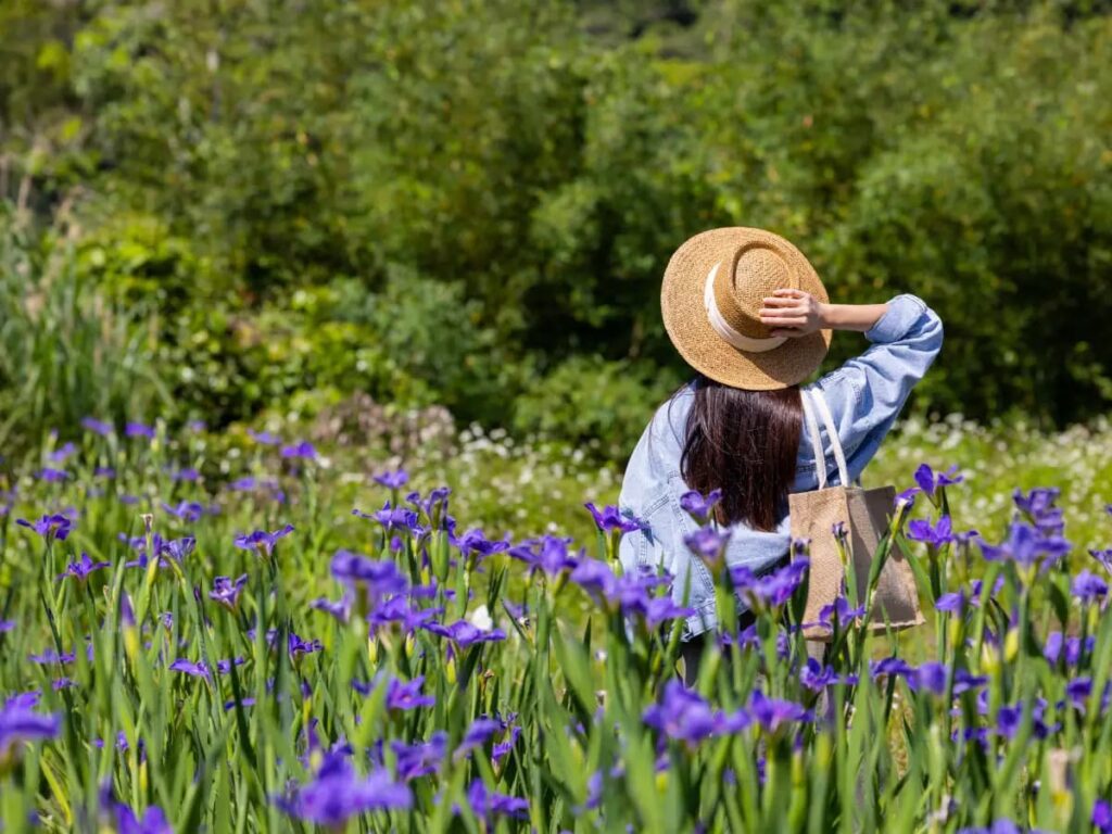 Florence’s Iris Garden in peak bloom, overlooking the city from Piazzale Michelangelo.