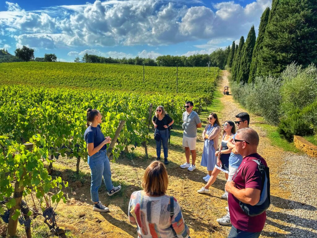 Visiting a vineyard during a wine tour in Tuscany