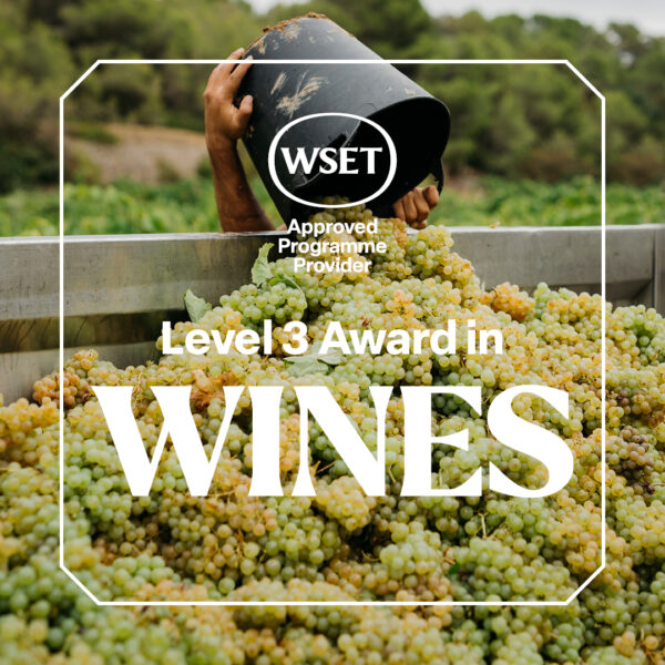 WSET Level 3 Award in Wines Firenze WSET Level 3 Award in Wines Firenze
