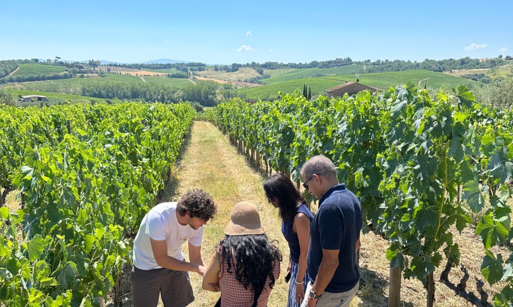 Guests walking through a vineyard with a winery host during a Tuscany wine tour, illustrating the relaxed rhythm of a well-planned day with vineyard visits, wine tasting, and scenic countryside views.