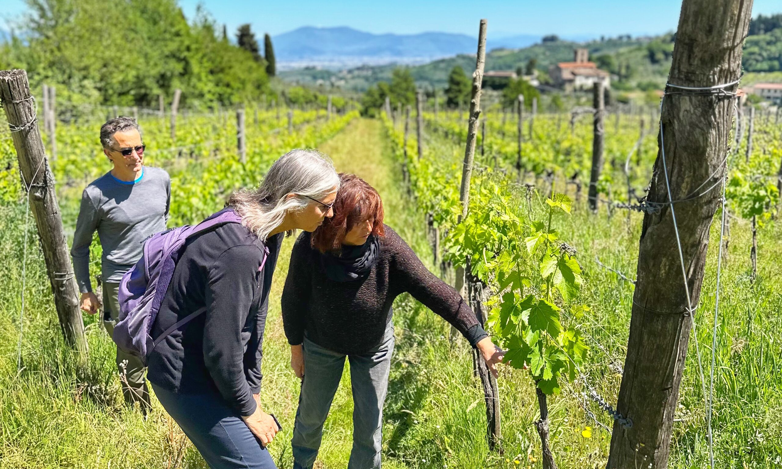 Guests following a wine guide through a Tuscan vineyard during a curated guided wine tour itinerary.