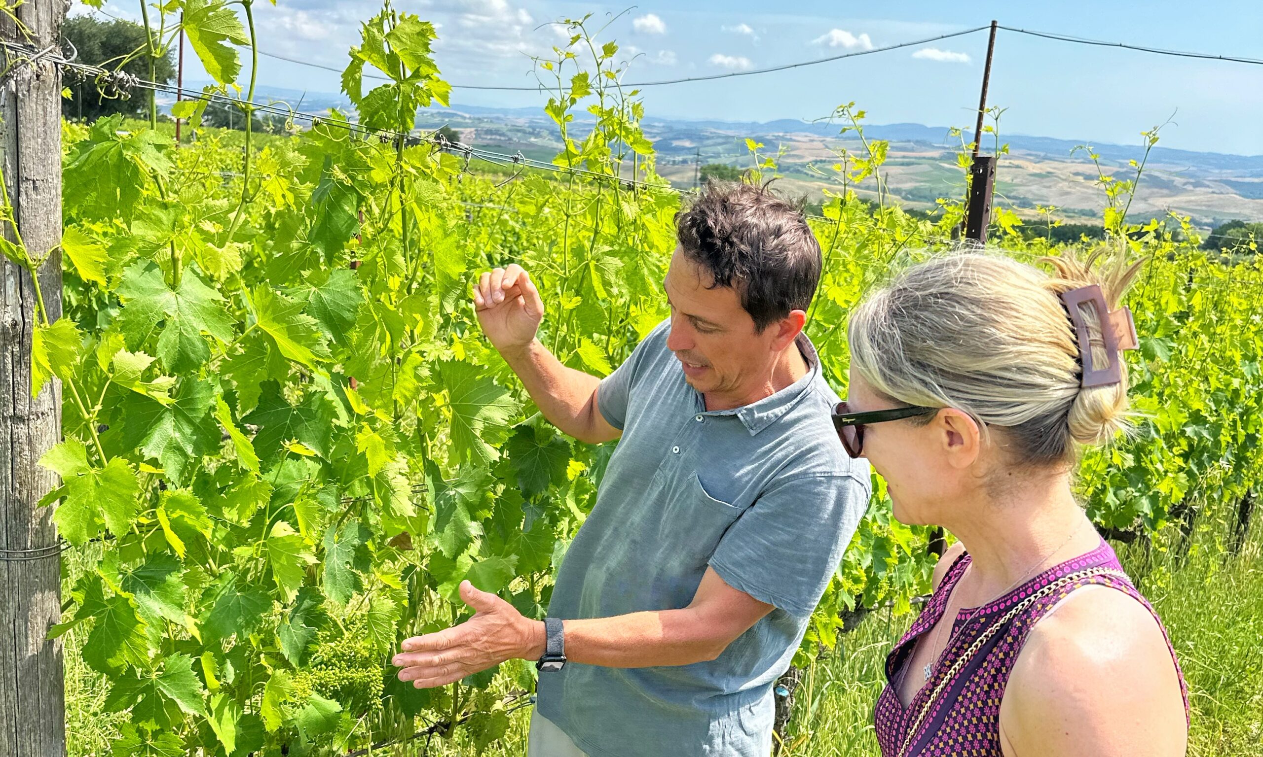 Guests meeting a small family-run winery producer during a private guided wine tour in Tuscany.